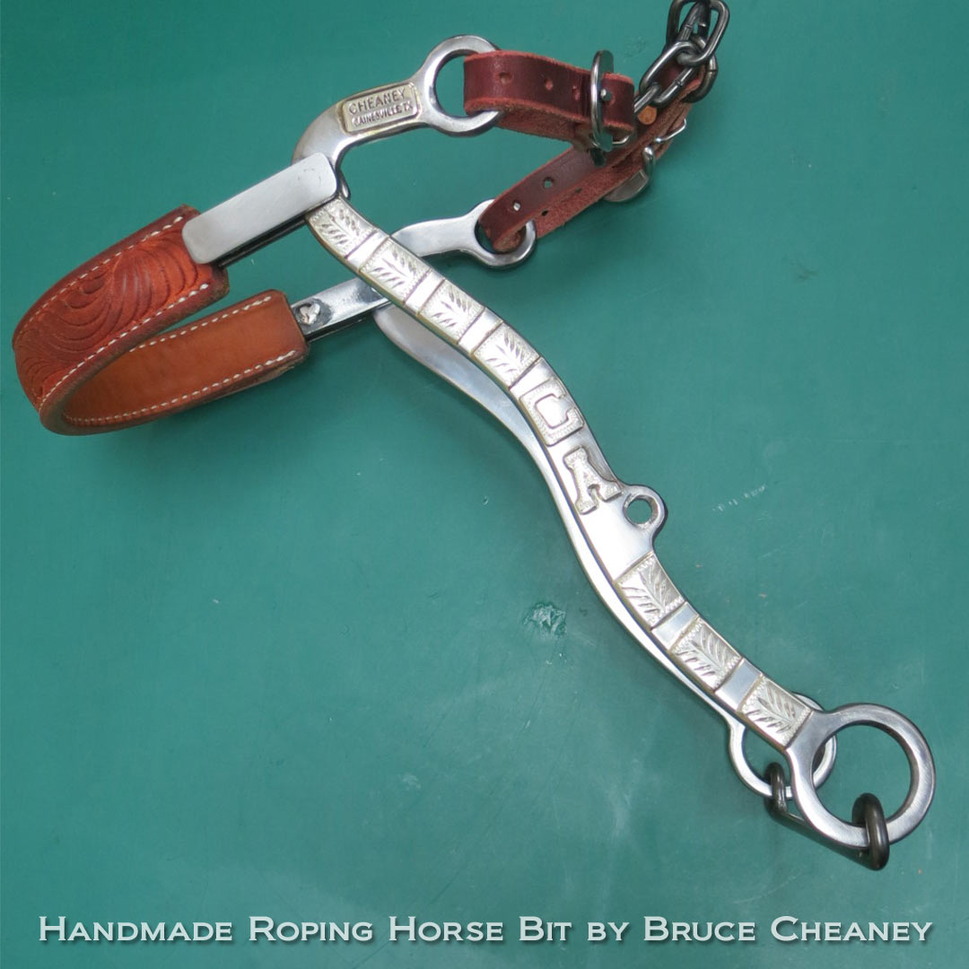 Mecahnical Hackamore Bit With Initials and Silver Bars